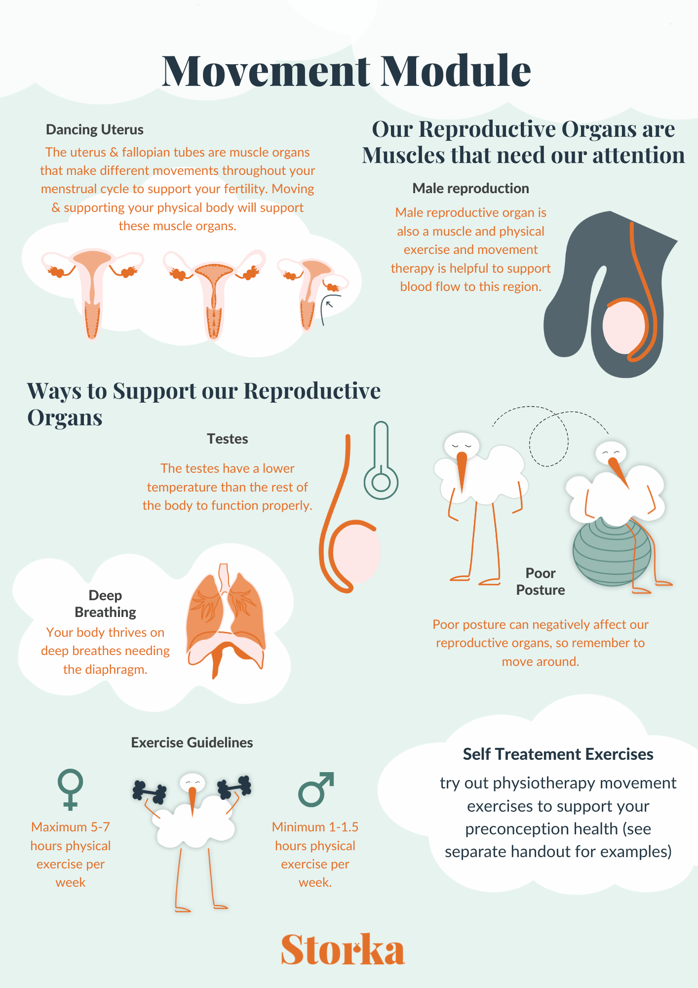 Movement module infographic